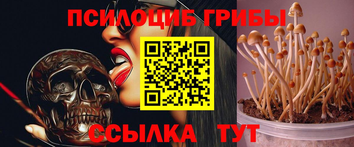 Галлюциногенные грибы прущие грибы Тобольск