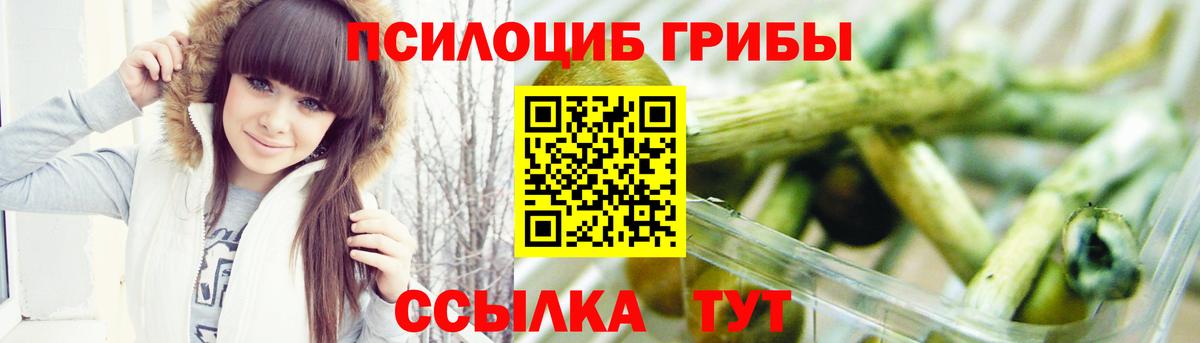 Тобольск  Галлюциногенные грибы Cubensis  закладка  Галлюциногенные грибы MAGIC MUSHROOMS  Вход с VPN 