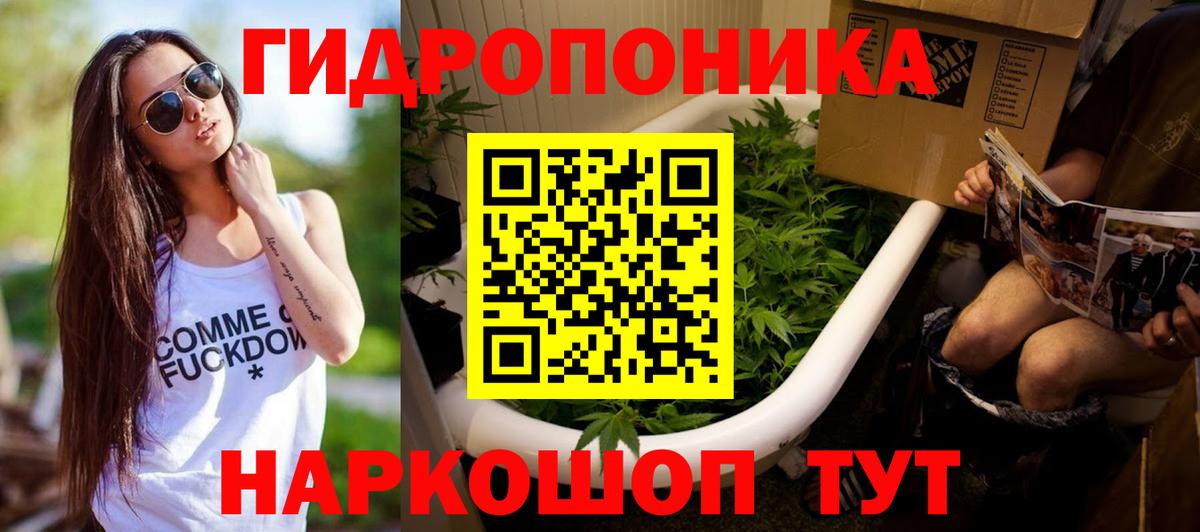 Шишки марихуана Amnesia Тобольск
